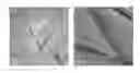 Fig. 01 - Adsorptive desulfurization