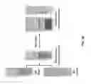 Fig. 08 - Pristine and surface functionalized cellulose nanocrystals (CNCs) incorporated hydrogel beads and uses thereof