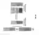 Fig. 09 - Pristine and surface functionalized cellulose nanocrystals (CNCs) incorporated hydrogel beads and uses thereof