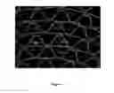 Fig. 04 - Structured adsorbent beds, methods of producing the same and uses thereof
