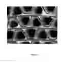 Fig. 08 - Structured adsorbent beds, methods of producing the same and uses thereof