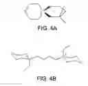 Fig. 03 - Coherently grown composite aluminophosphate and silicoaluminophosphate molecular sieves