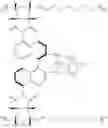 Fig. 34 - CATALYST SYSTEMS FOR USE IN CONTINUOUS FLOW REACTORS AND METHODS OF MANUFACTURE AND USE THEREOF