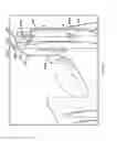 Fig. 12 - SYSTEMS AND METHODS FOR DEPLOYING TUBULAR CONDUITS AND TUBING