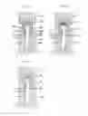 Fig. 03 - Method for manufacturing caulked assembly