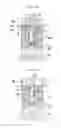 Fig. 16 - Method for manufacturing caulked assembly