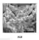 Fig. 03 - Fabrication of articles from nanowires