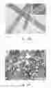 Fig. 17 - Methods of nanostructure formation and shape selection
