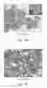 Fig. 20 - Methods of nanostructure formation and shape selection