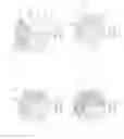 Fig. 02 - Shear knife