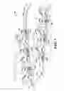 Fig. 05 - Devices, systems, and methods for recovery and recycling of carpet components