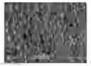 Fig. 01 - Controlled-expansion CMP PAD casting method