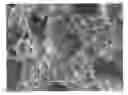 Fig. 01 - Controlled-viscosity CMP casting method