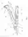 Fig. 02 - Multipurpose tool