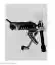 Fig. 26 - A HAND-HELD POWER TOOL AND ATTACHMENTS