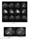 Fig. 03 - Device, system, and method for robot-controlled induction of the feeling of human presence