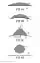 Fig. 11 - Ejector device