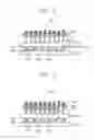 Fig. 04 - Method of detaching sub-substrate from substrate