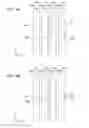 Fig. 10 - Liquid ejecting head and liquid ejecting apparatus