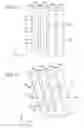 Fig. 12 - Liquid ejecting head and liquid ejecting apparatus