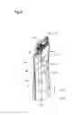 Fig. 09 - Liquid container