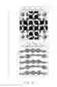 Fig. 16 - ANTI-COUNTERFEIT PRINTED MATTER