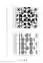Fig. 22 - ANTI-COUNTERFEIT PRINTED MATTER