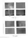 Fig. 26 - ANTI-COUNTERFEIT PRINTED MATTER