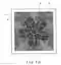 Fig. 62 - ANTI-COUNTERFEIT PRINTED MATTER