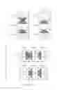 Fig. 68 - ANTI-COUNTERFEIT PRINTED MATTER