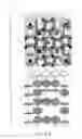 Fig. 75 - ANTI-COUNTERFEIT PRINTED MATTER