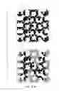Fig. 81 - ANTI-COUNTERFEIT PRINTED MATTER