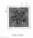 Fig. 95 - ANTI-COUNTERFEIT PRINTED MATTER