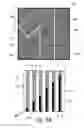 Fig. 10 - Printed security feature, object comprising such a printed security feature, and process of producing the same