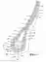 Fig. 03 - REDUCED WEIGHT AIRCRAFT TIRE