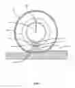Fig. 02 - Tire deformation sensor and tire inflation system