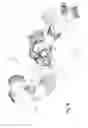 Fig. 47 - Utility vehicle
