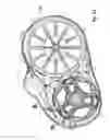 Fig. 29 - Utility vehicle