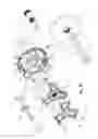 Fig. 31 - Utility vehicle
