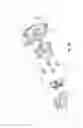 Fig. 44 - Utility vehicle