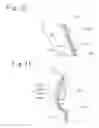 Fig. 10 - Accessory mounting structure to vehicle dashboard