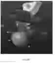 Fig. 17 - Spare tire anti-theft device