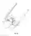 Fig. 13 - MOBILE ROBOTIC VEHICLE