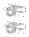 Fig. 08 - Saddle adjustment system