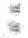 Fig. 07 - Bicycle rear derailleur with a damper assembly