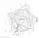 Fig. 18 - Self-righting frame and aeronautical vehicle