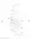 Fig. 02 - Morphing foil or wing