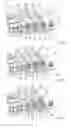 Fig. 05 - Method for transferring items to be packaged into containers and for transporting the filled containers onward