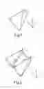 Fig. 02 - Machine, process, container and packaging for packing tetrahedral-shaped products