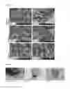 Fig. 04 - Method and apparatus for modifying graphene